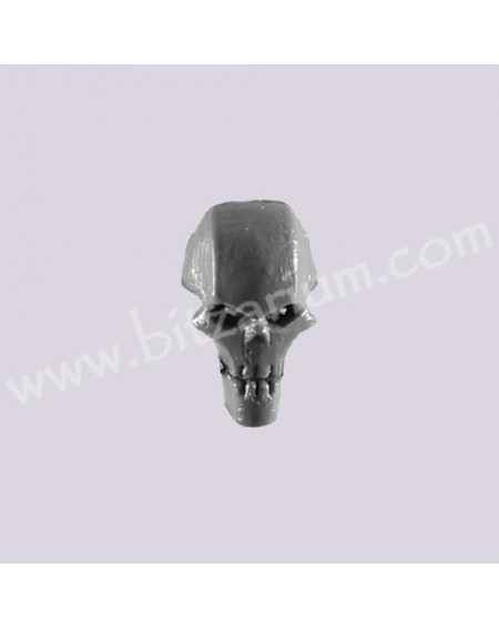 Warrior Head