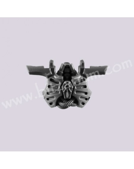 Front Torso 1