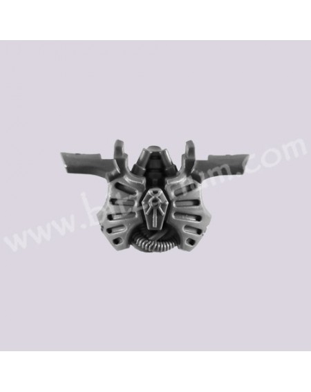 Front Torso 3