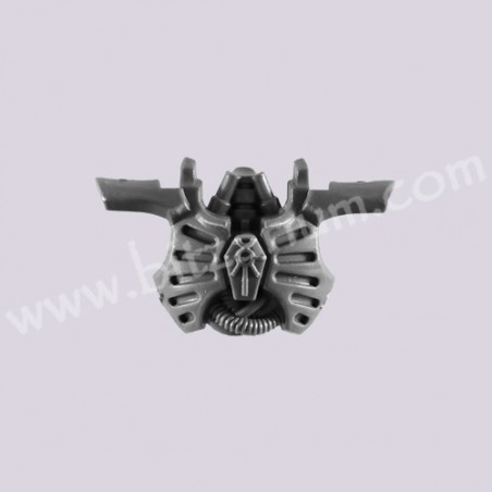 Front Torso 3