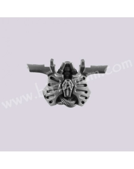Front Torso 4