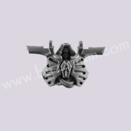 Front Torso 4