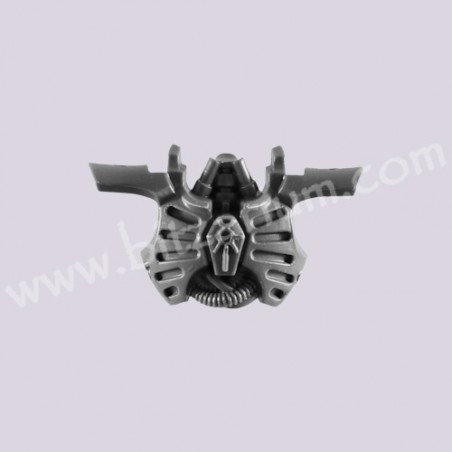Front Torso 5