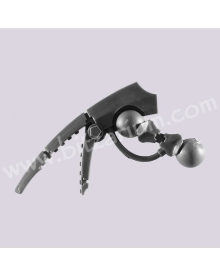 Claw 1