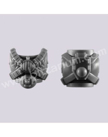 Torso 1 - Space Marine Vanguard Veterans