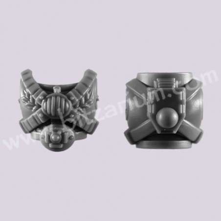 Torso 1 - Space Marine Vanguard Veterans