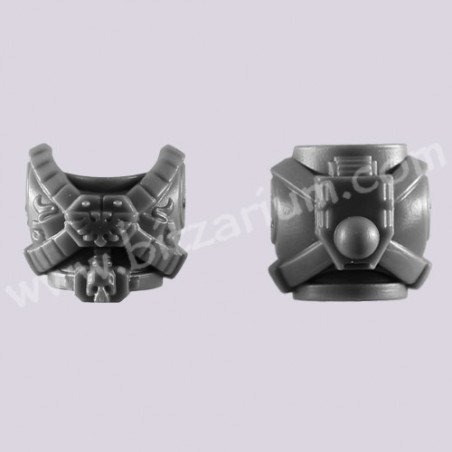 Torso 2 - Space Marine Vanguard Veterans