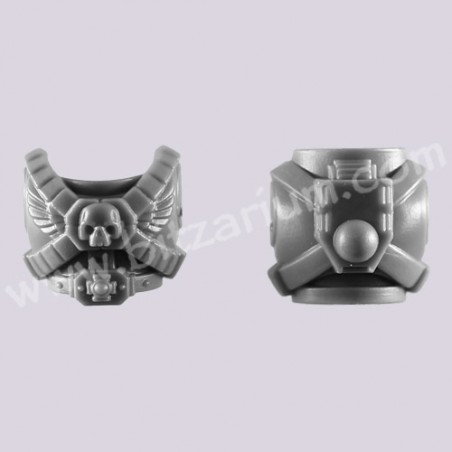 Torso 4 - Space Marine Vanguard Veterans
