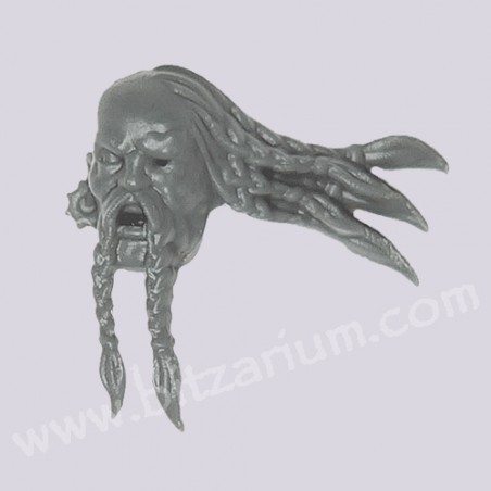 Head 6