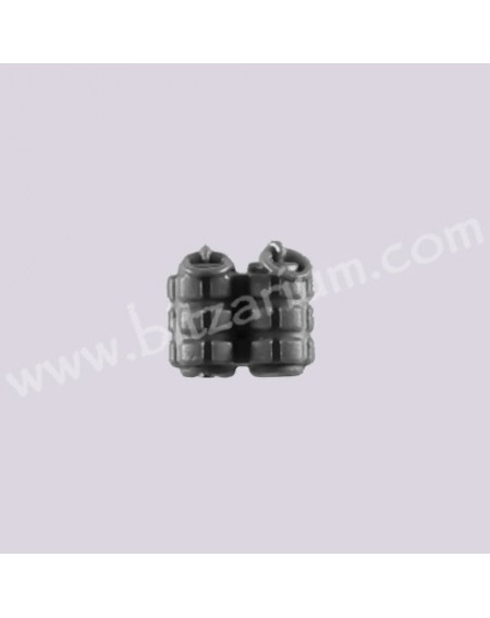 Grenades 2 - Escouade Tactique Space Marine