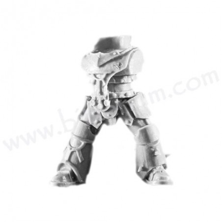 Body 1 - Sons of Horus Reavers