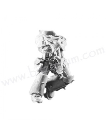 Body 4 - Sons of Horus Reavers