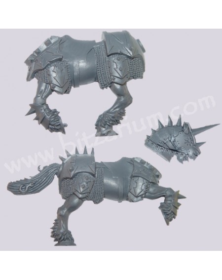 Cheval 1