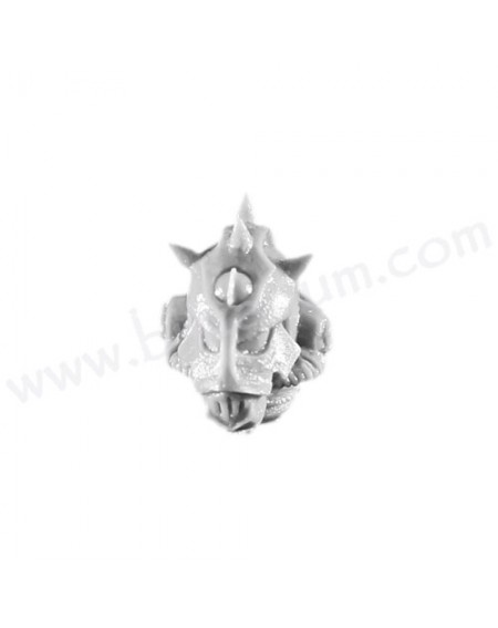 Head 4 - Sons of Horus