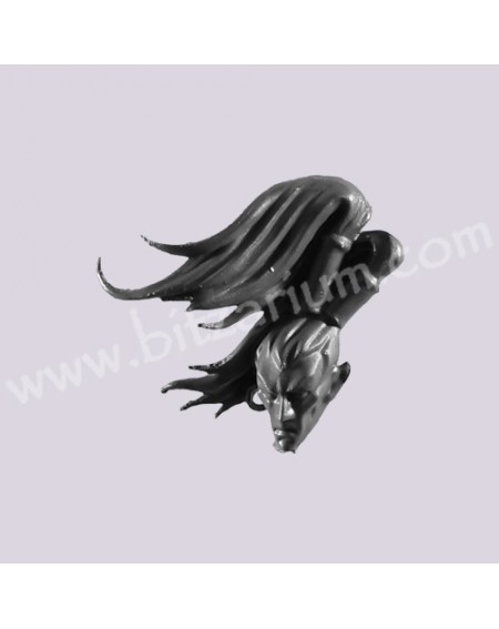 Head A - Black Ark Corsairs