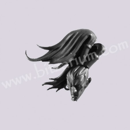 Head A - Black Ark Corsairs