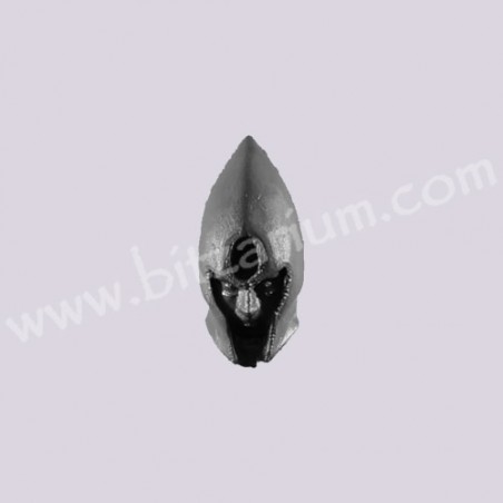 Head J - Black Ark Corsairs