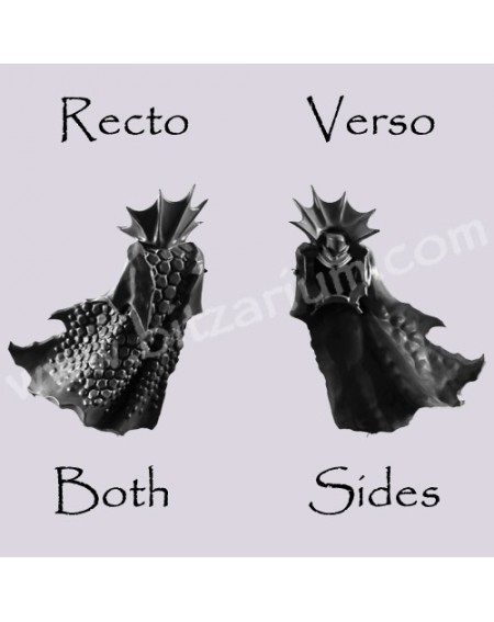 Back Torso A - Black Ark Corsairs