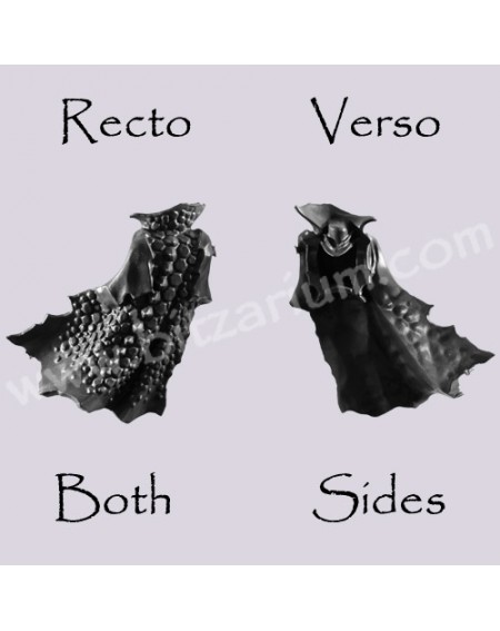 Back Torso C - Black Ark Corsairs