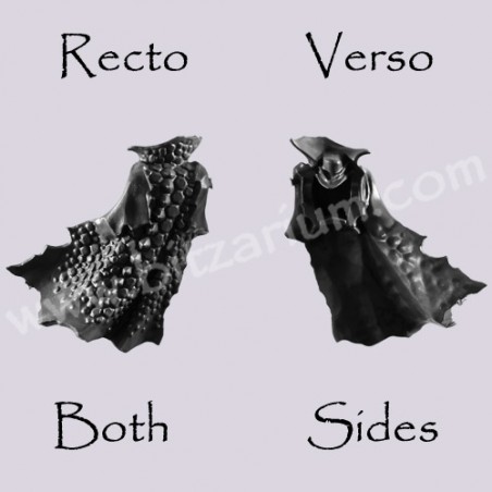 Back Torso C - Black Ark Corsairs