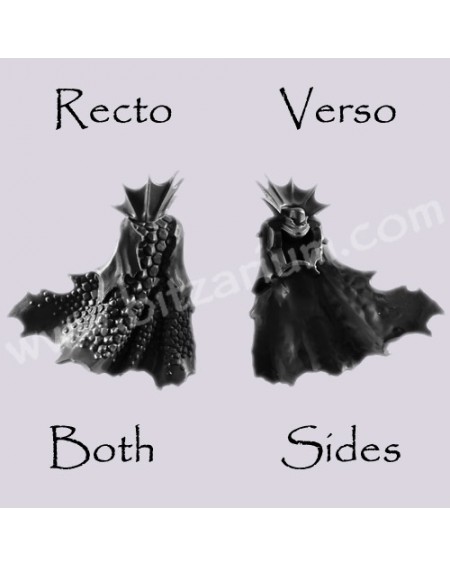 Back Torso F - Black Ark Corsairs