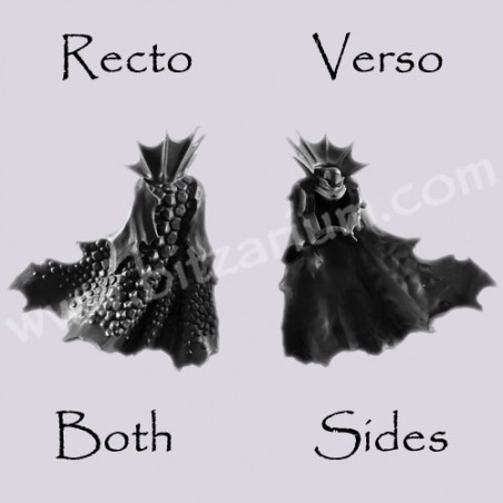 Back Torso F - Black Ark Corsairs