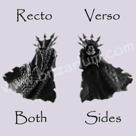 Back Torso G - Black Ark Corsairs