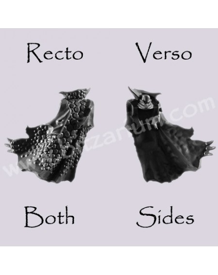 Back Torso H - Black Ark Corsairs