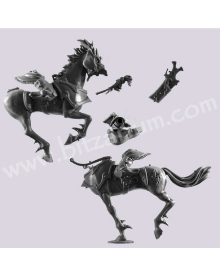 Dark Steed 1 - Doomfire Warlocks