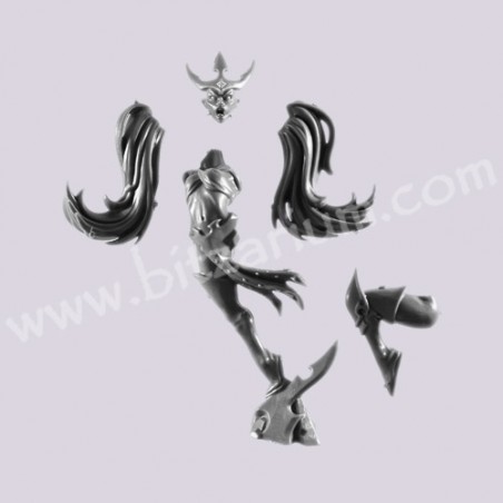 Body D - Witch Elves