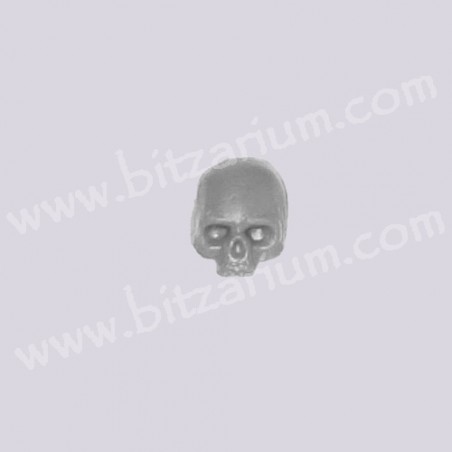 Skull 1