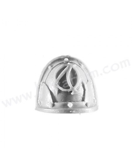 Shoulder Pad 4 - Ashen Circle