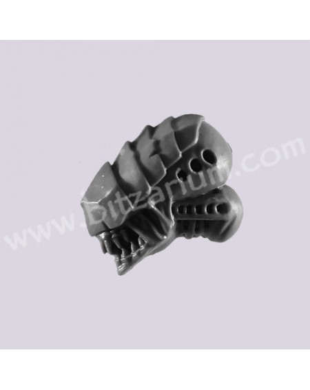 Head 1 - Hive Guard