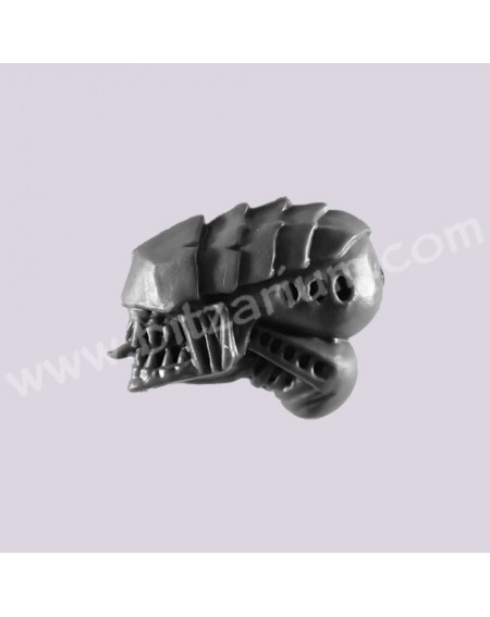 Head 2 - Hive Guard
