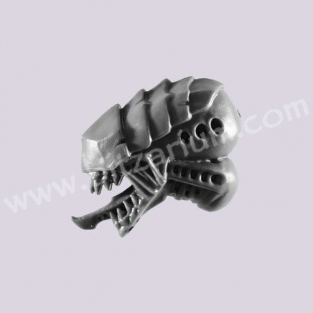 Head 3 - Hive Guard
