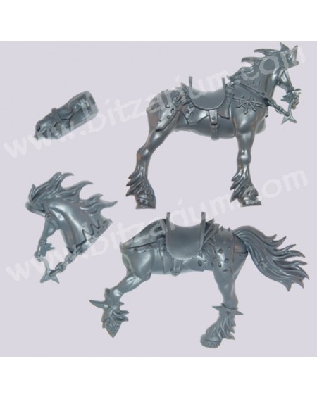 Cheval 1