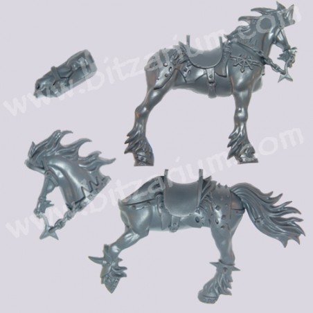 Cheval 1