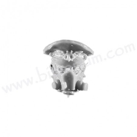 Head K - Cadian with Respirators