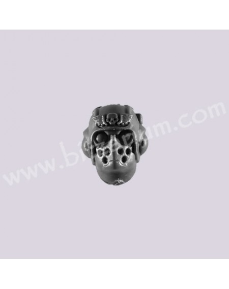 Helmeted Head 7 - Scions