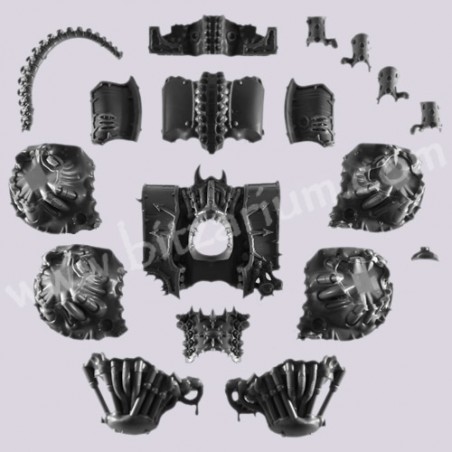 Torse - Métabrutus