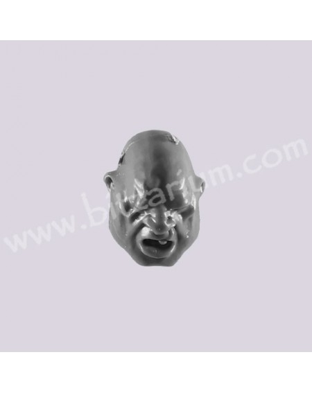 Head B - Ogryns