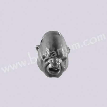 Head B - Ogryns