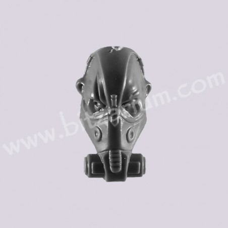 Head F - Bullgryns