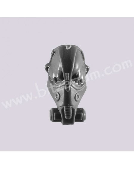 Head H - Bullgryns