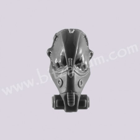 Head H - Bullgryns