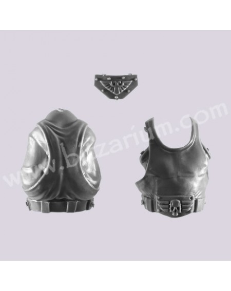 Torse 1 - Ogryns
