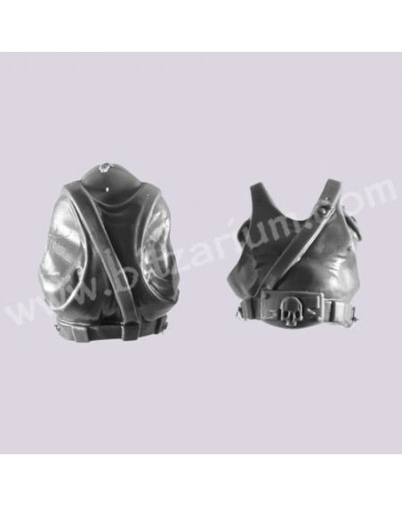 Torse 2 - Ogryns