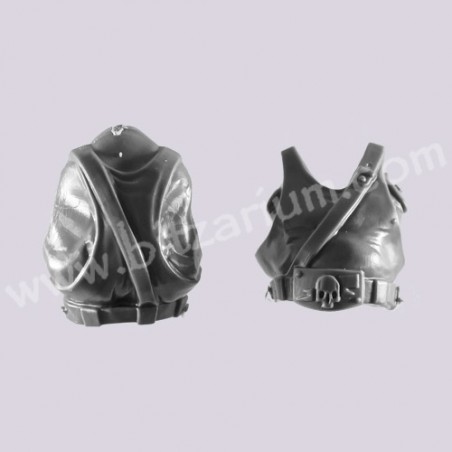 Torse 2 - Ogryns