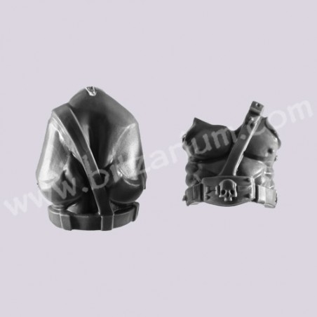 Torso 3 - Ogryns