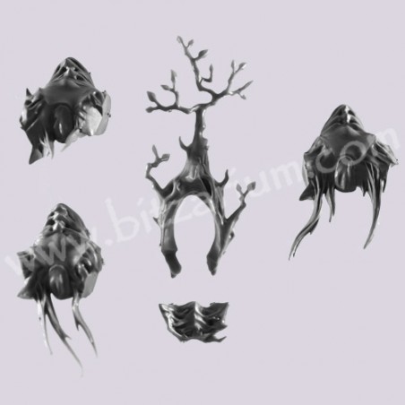 Bassin - Homme-Arbre